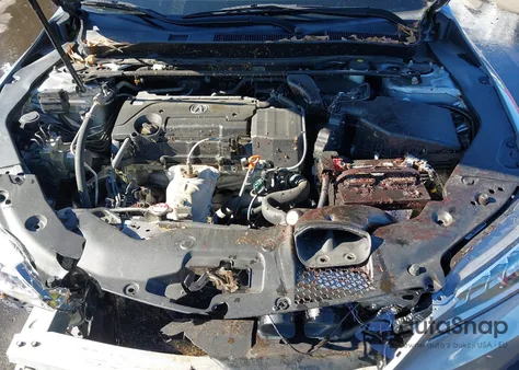 2016 Acura Tlx z USA, uszkodzony, nr VIN 19UUB1F30GA004123